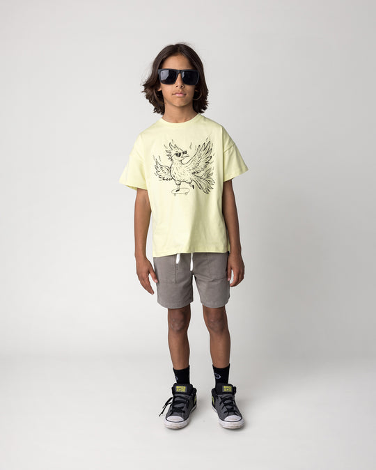 Kid wearing the Skate Phoenix Tee in light zest with the Blasted Track Short in grey wash, front view
