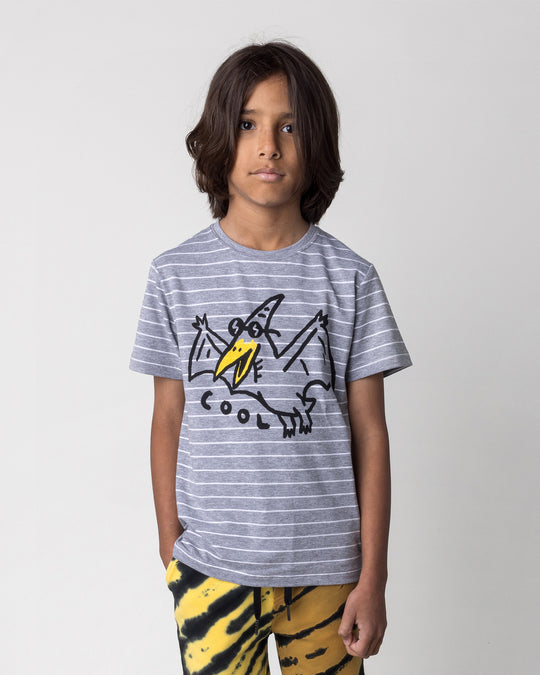 Close up of the Cool Pterodactyl Tee in grey stripe on a kid, front view