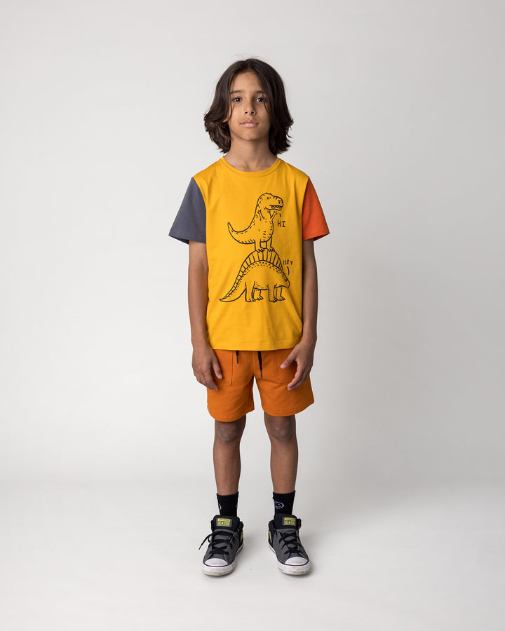 Kid wearing the Dino Ride Tee in mustard, grey and orange with the Track Short in burnt orange, front view
