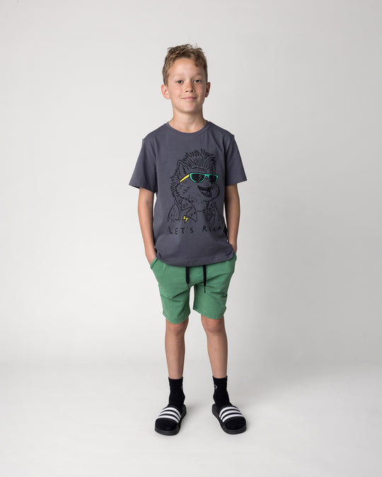 Kid wearing the Werewolf Rockstar Tee in dark grey with the Blasted Icon Short in turf wash, front view