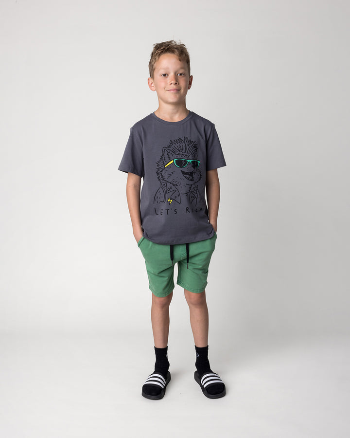 Kid wearing the Werewolf Rockstar Tee in dark grey with the Blasted Icon Short in turf wash, front view