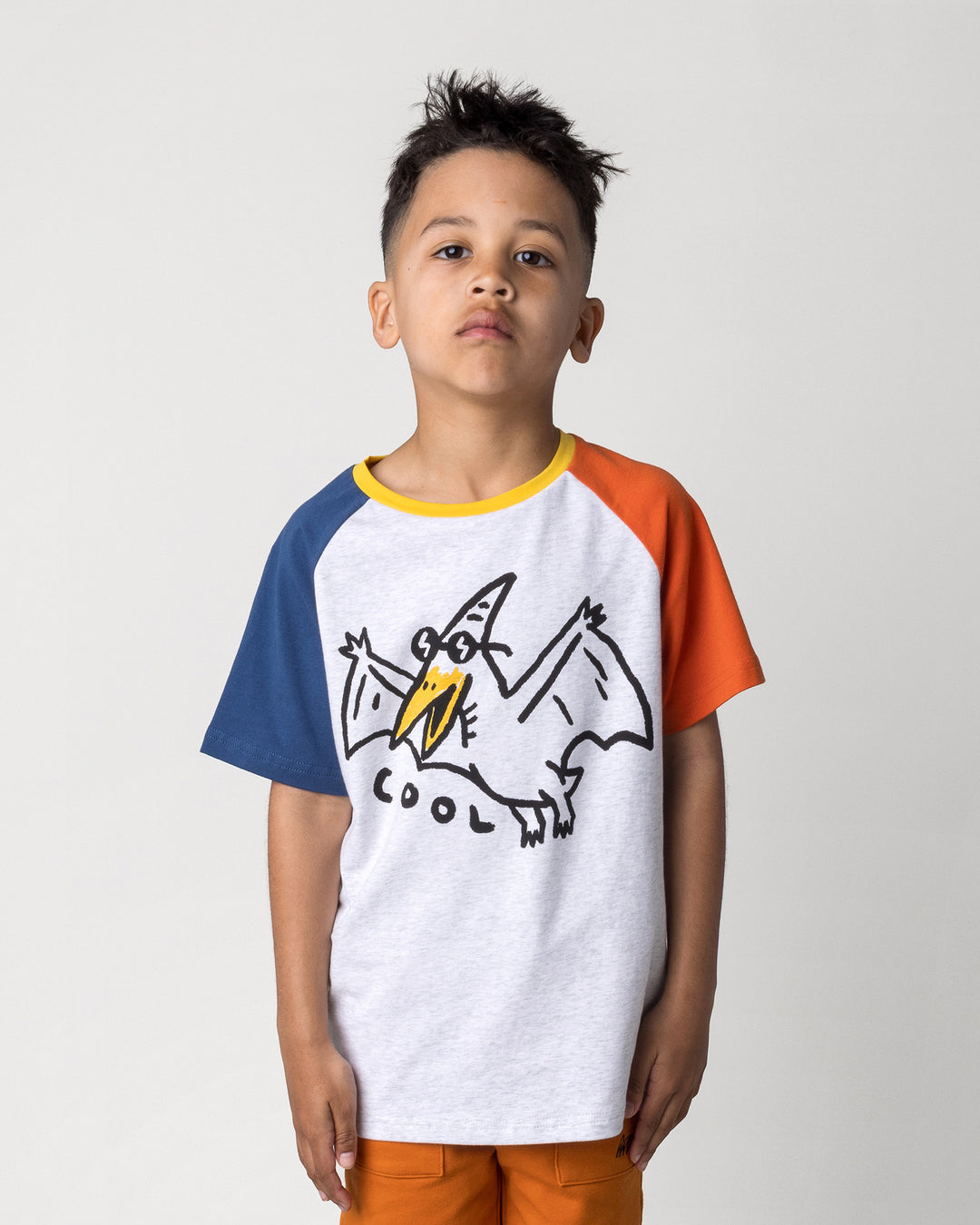 Close up of the Cool Pterodactyl Tee in white marle and multi on a kid, front view